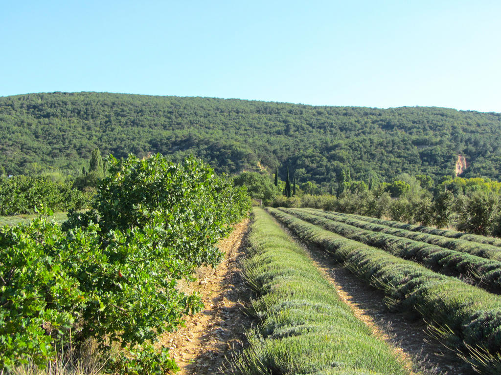 Gites De La Croix Du Gres (Adults Only) Valaurie ภายนอก รูปภาพ