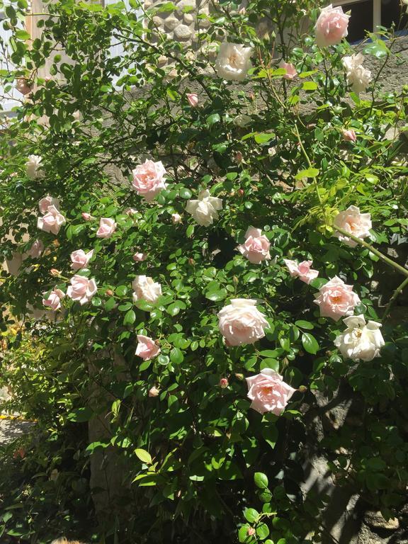 Gites De La Croix Du Gres (Adults Only) Valaurie ภายนอก รูปภาพ