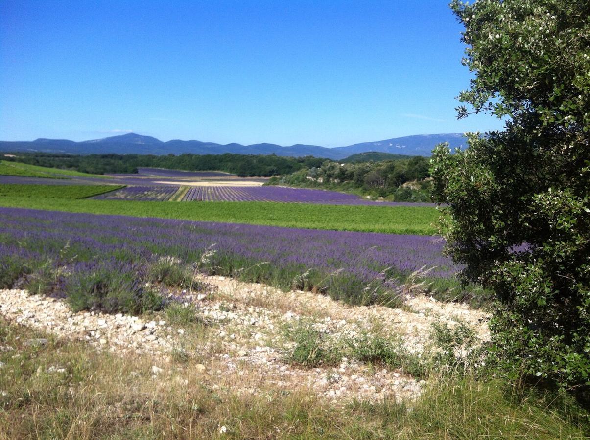 Gites De La Croix Du Gres (Adults Only) Valaurie ภายนอก รูปภาพ