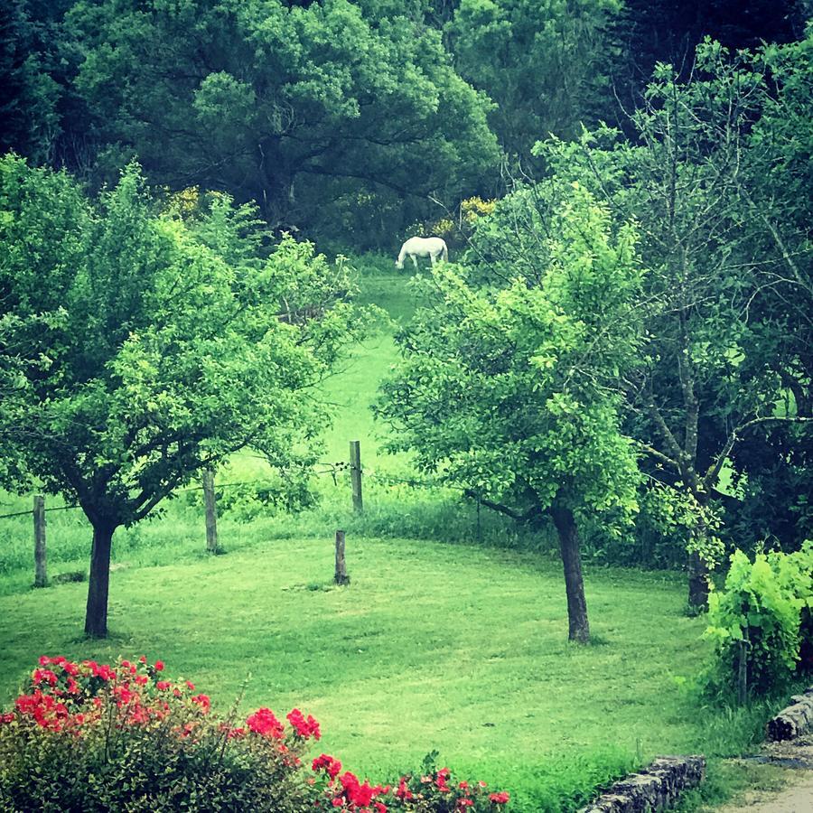 Gites De La Croix Du Gres (Adults Only) Valaurie ภายนอก รูปภาพ