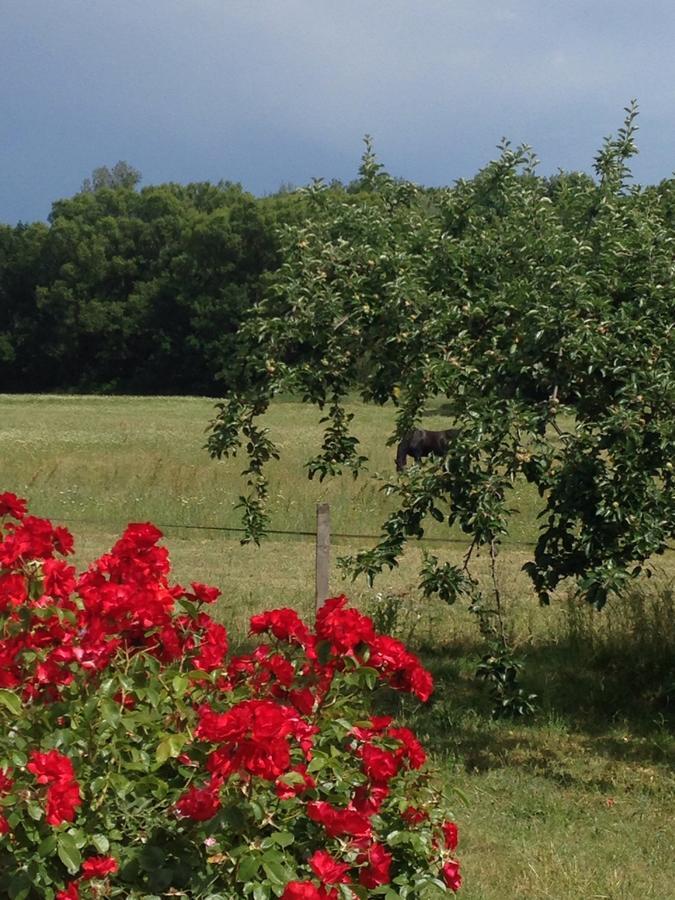 Gites De La Croix Du Gres (Adults Only) Valaurie ภายนอก รูปภาพ